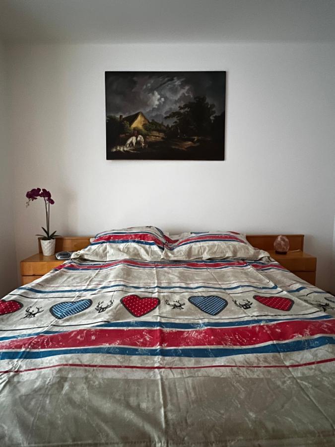 Noreea Central Apartment Timisoara Ngoại thất bức ảnh