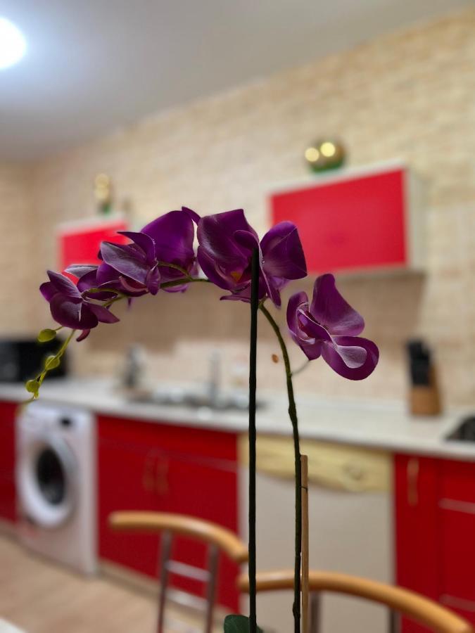 Noreea Central Apartment Timisoara Ngoại thất bức ảnh